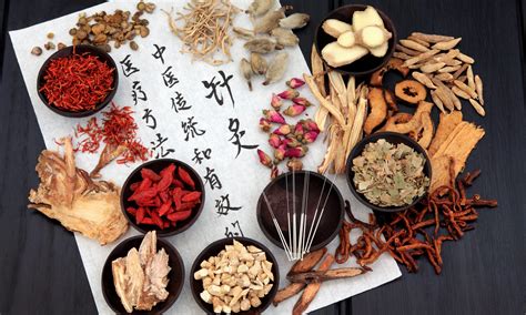 氣穴|School of Chinese Medicine